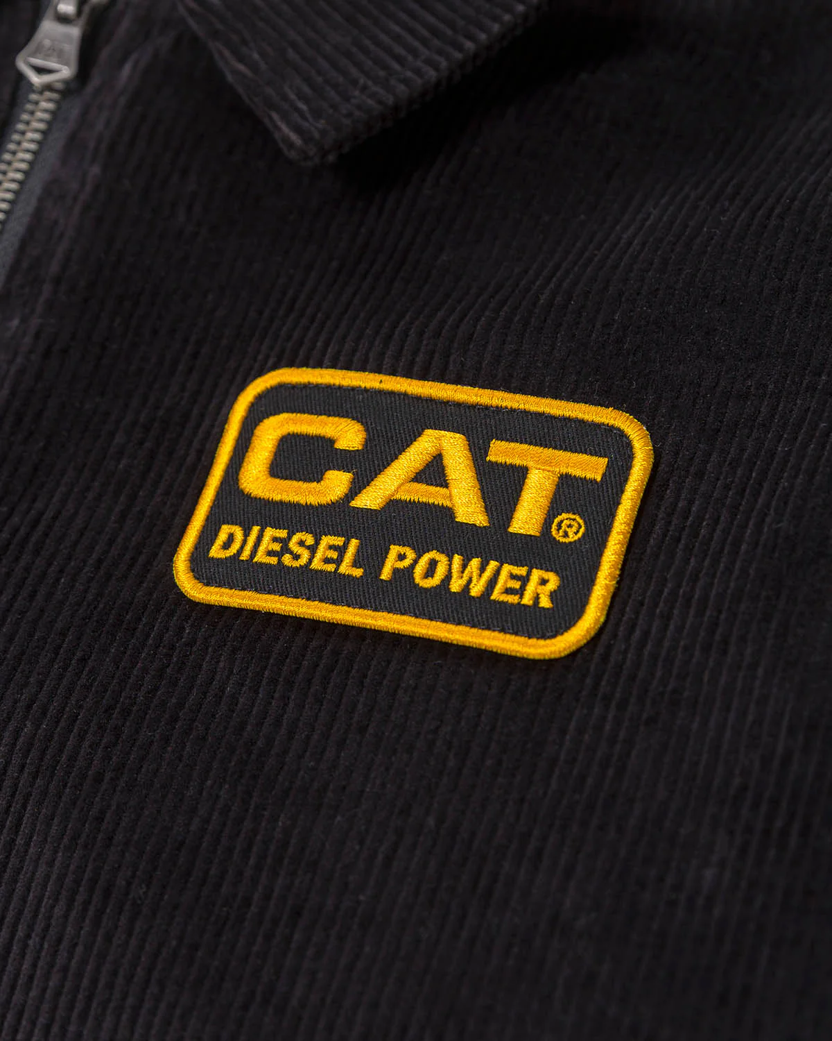 CORDUROY BOMBER JACKET CAT® WWR DESIGNED BY AVERY RANCH - Image 9